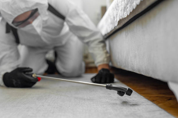 Professional Wasp Control technician working in Wallenpaupack Lake Estates, PA