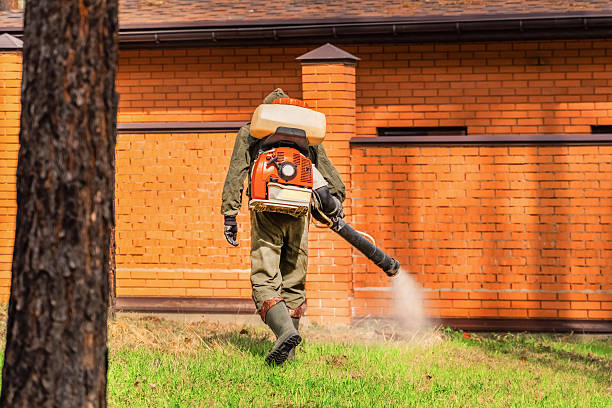Trusted Bed Bug Control service in Wallenpaupack Lake Estates, PA - Nex Pest Control